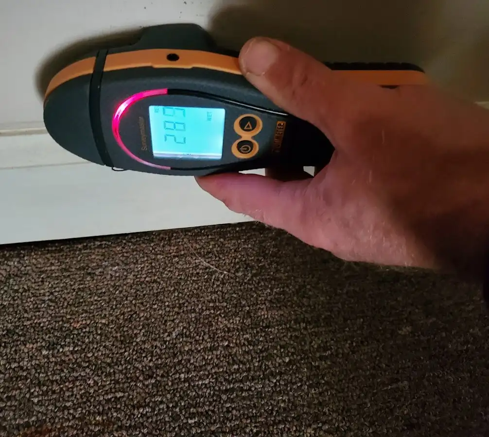 Moisture detection at baseboard during Sewage Cleanup & Sanitation in Walnut Creek